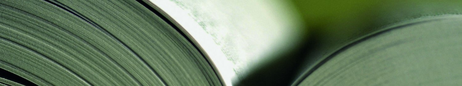 Doctoral dissertation in english literature